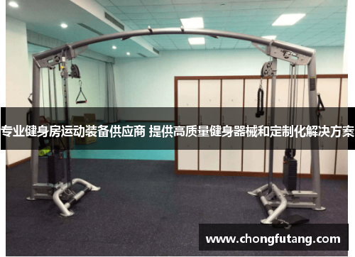 专业健身房运动装备供应商 提供高质量健身器械和定制化解决方案