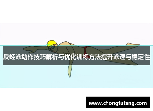 反蛙泳动作技巧解析与优化训练方法提升泳速与稳定性