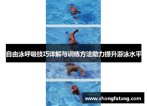 自由泳呼吸技巧详解与训练方法助力提升游泳水平