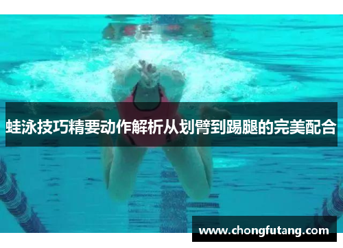 蛙泳技巧精要动作解析从划臂到踢腿的完美配合